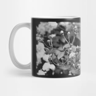 Vintage rose buds on a black and white film Mug